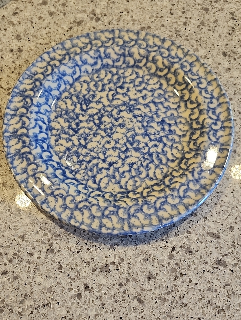Vintage Roseville Blue Speckle Ceramic Dinner Plate - Classic Home Dining (4)